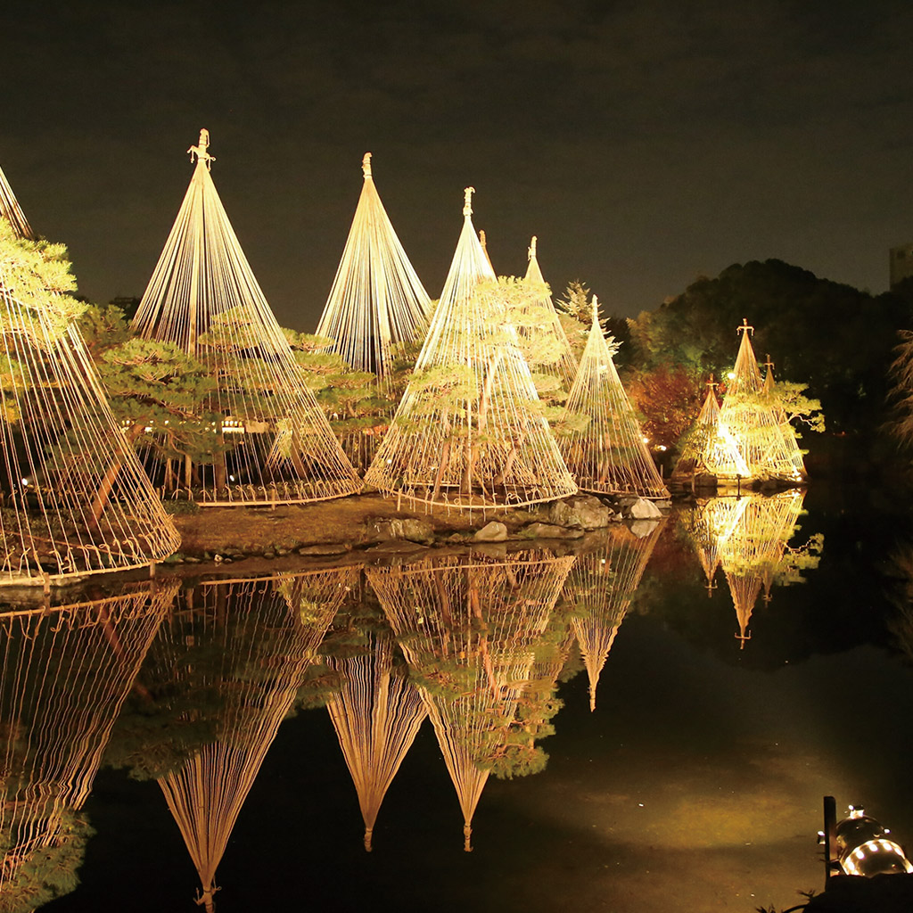 白鳥庭園の雪吊り